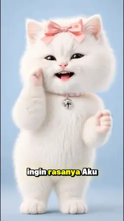 Kucing Joget