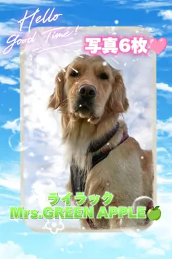 ライラック/写真6枚