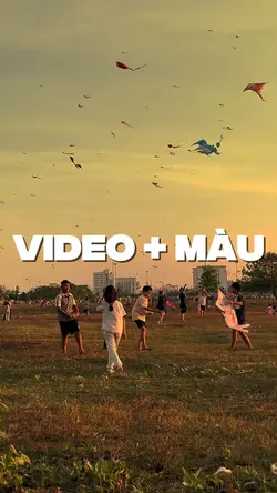 Thả diều