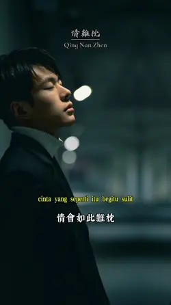 情难枕 - Qing Nan Zhen