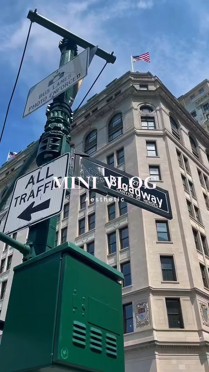 Vlog mini