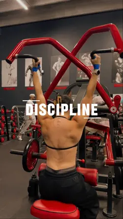 discipline