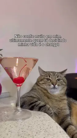 O chat que decide 