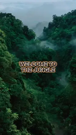 WELCOME TO THE JUNGL