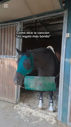 mi regalo más bonito