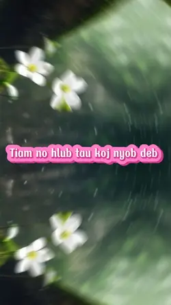 Tiam no hlub tau koj