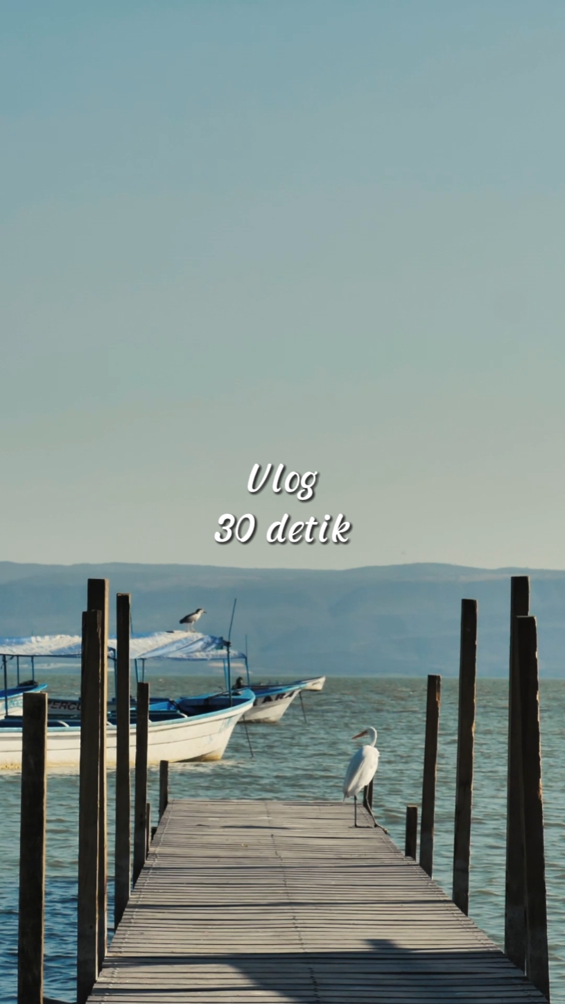 Vlog 30 detik