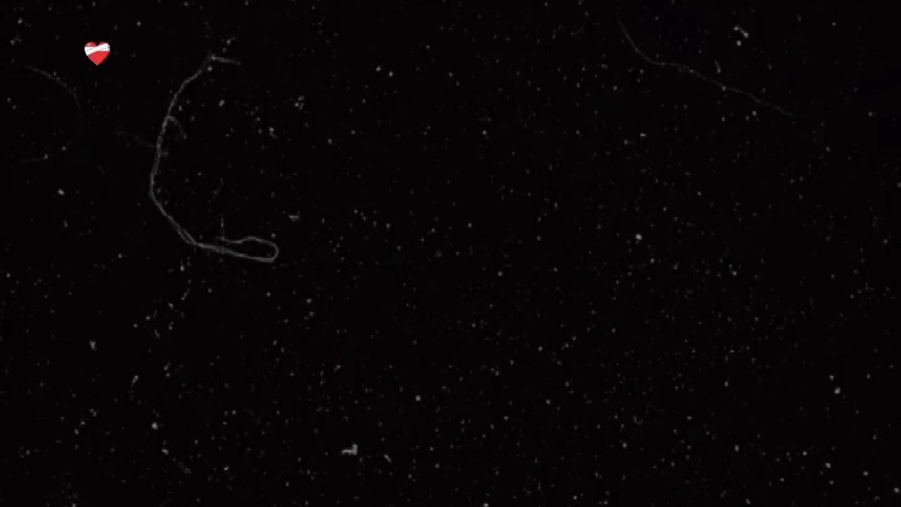 1 ảnh ngang