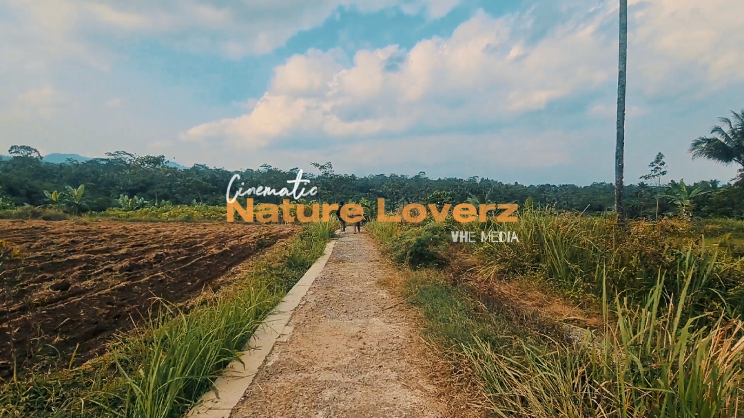 cinematic nature
