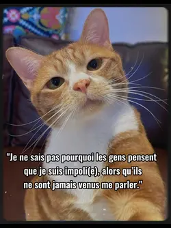 Aussi mon visage 24h