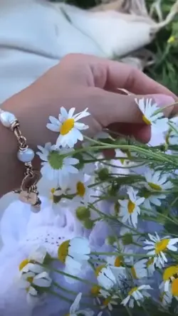 flower aesthetic