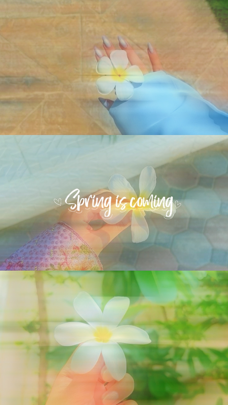 3 photo Spring