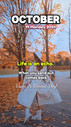 LIFE IS AN ECHO