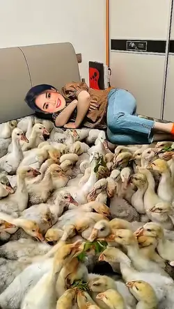 Ghép Mặt 
