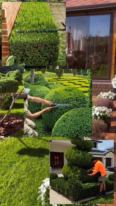 Jardinagem