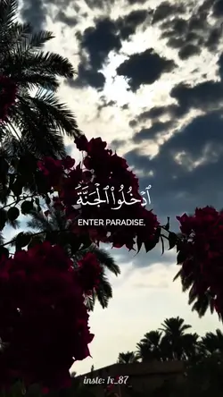 ادخلوا الجنة انتم ||