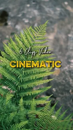 Cinematic 6 Video 