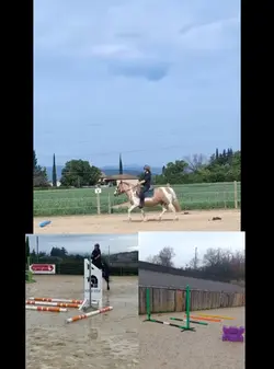 Comparaison
