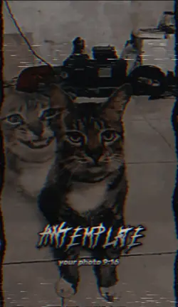 Ini yang kalian cari