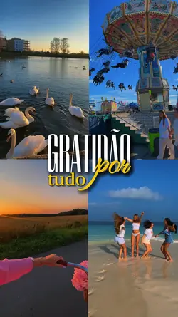 gratidão por tudo