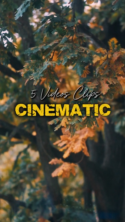 Cinematográfico 5 Vídeos 