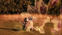 How Deep is YourLove