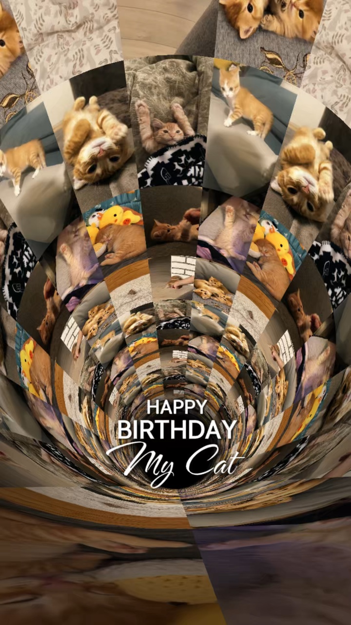 Birthday my cat