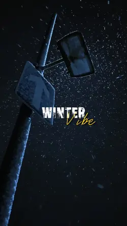WINTER VIBE