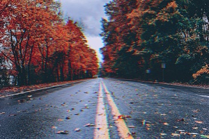 Autumn