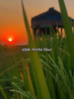 otak minta libur