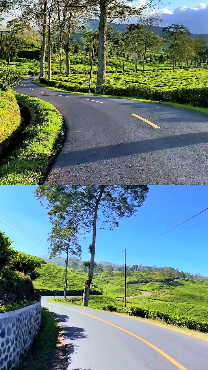 2 video collage