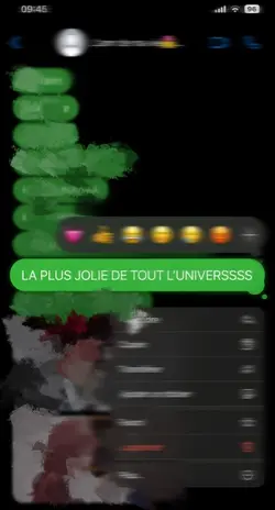 Je l'aime