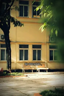 Đỗ NV1 nhé 2011🍀