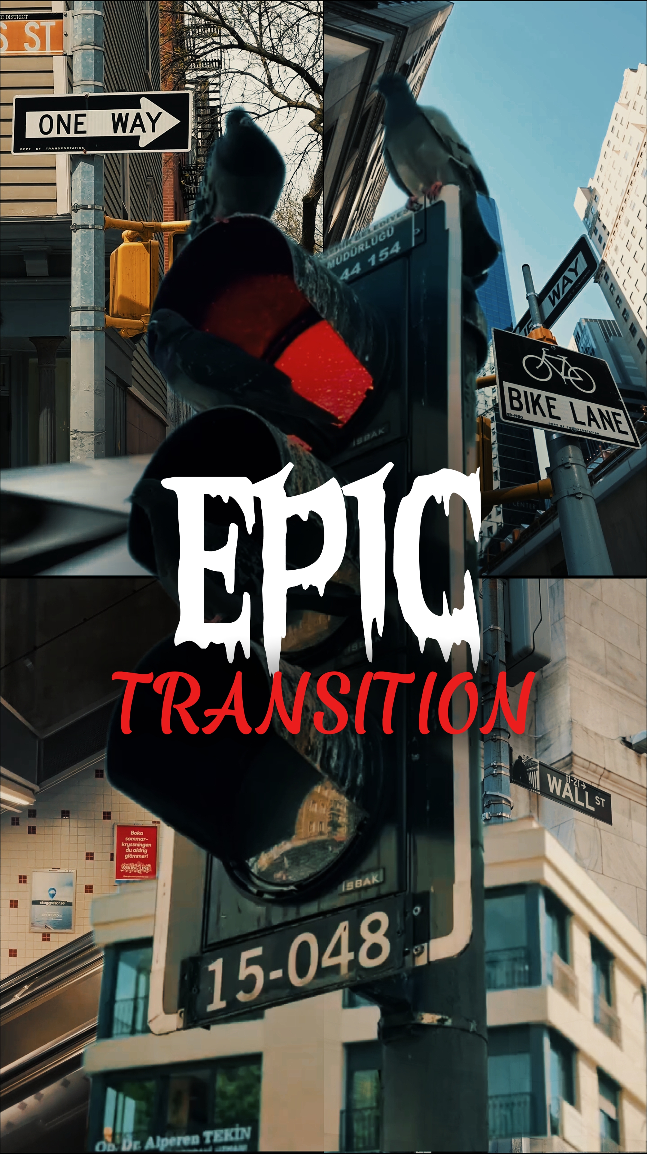 EPIC TRANSITION 