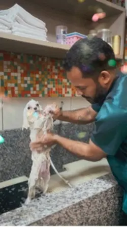 Hora do banho 