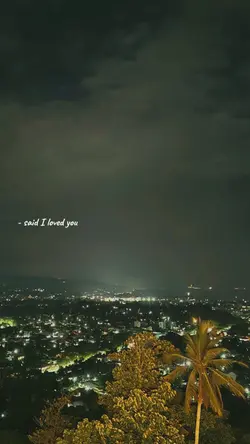 said i loved you but