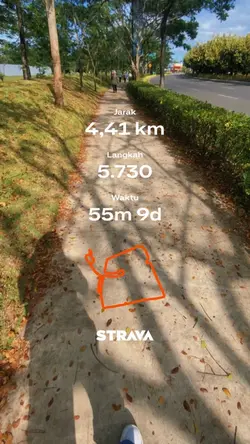 Strava Trend