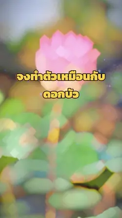 ทำตัวเหมือนดอกบัว