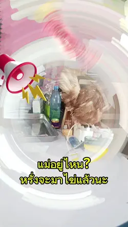 คุยก่ะไก่