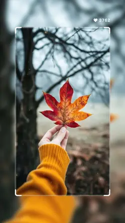 8รูปธรรชาติ