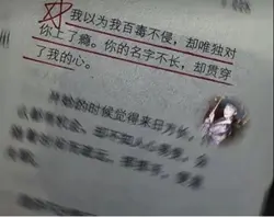 你的名字不長卻貫穿了我的心