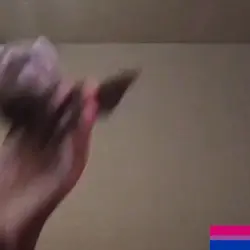 i love ferrets