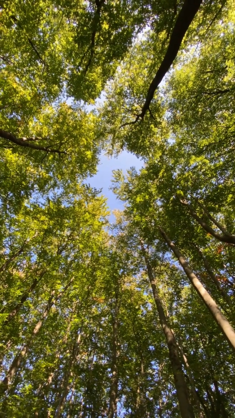 Natureza do país