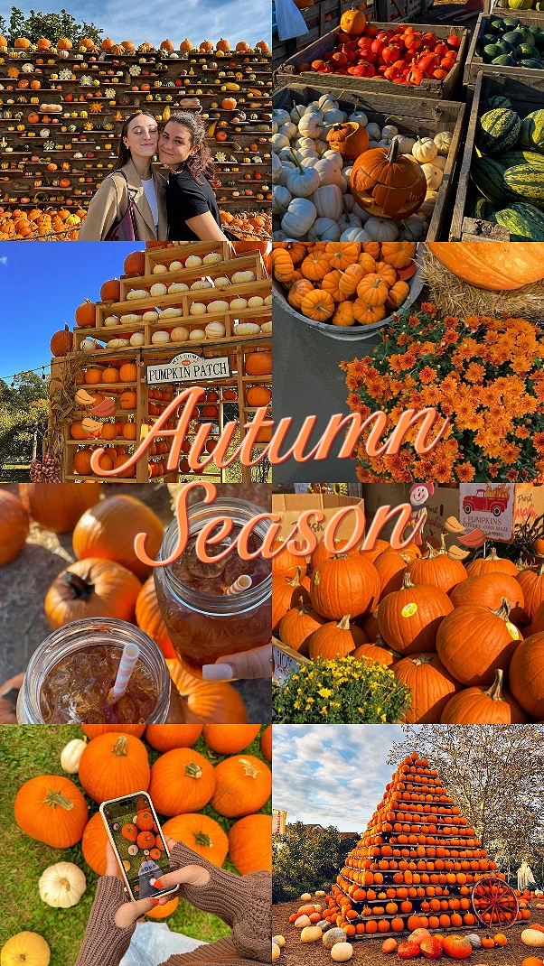 Autumn season vibes