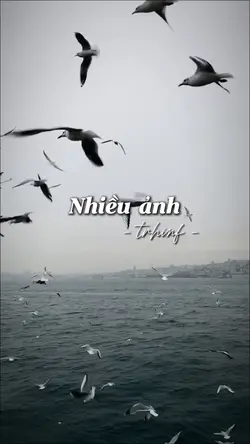 17 ảnh
