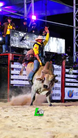 Foco no brete rodeio