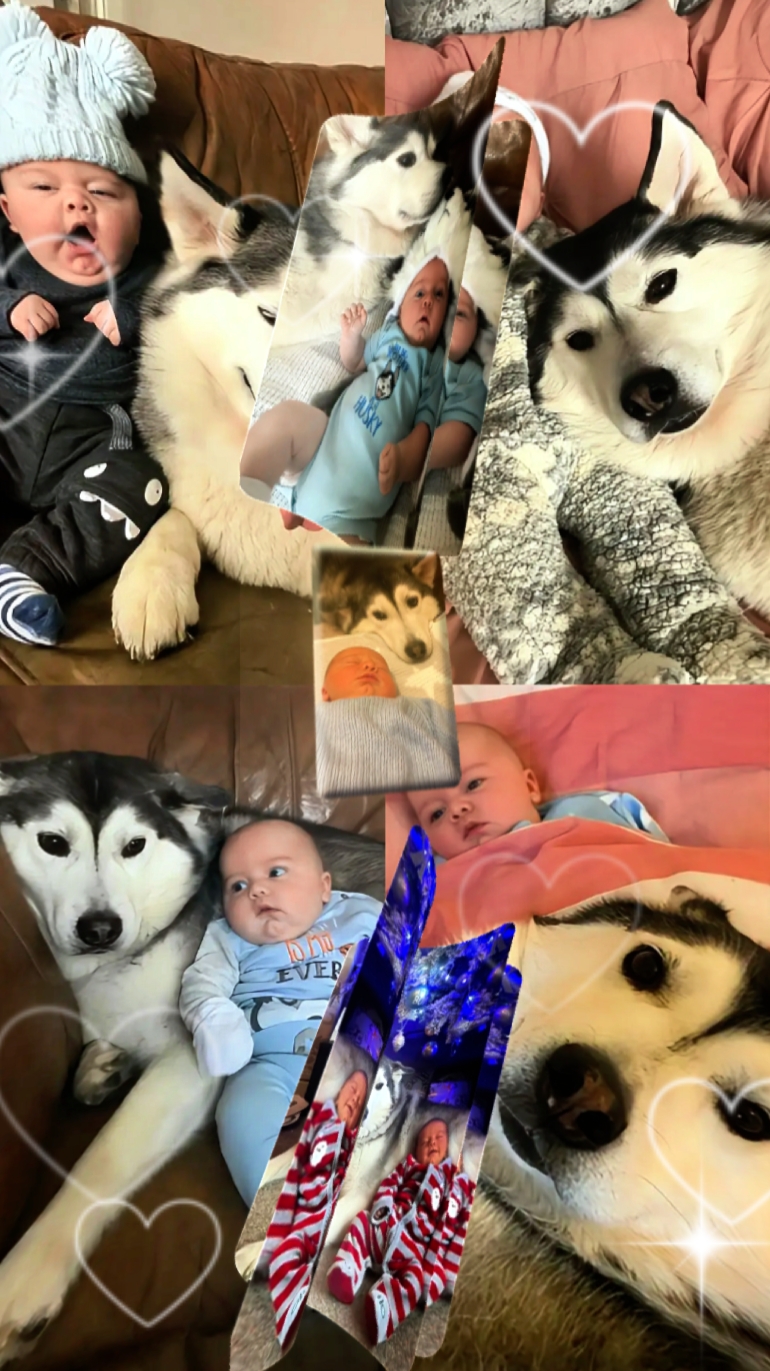 Cute Dog and Baby