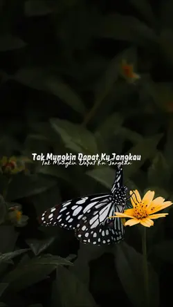 Sengsara Tapi Candu