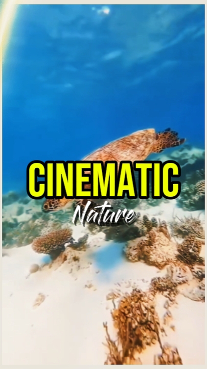 sinematik