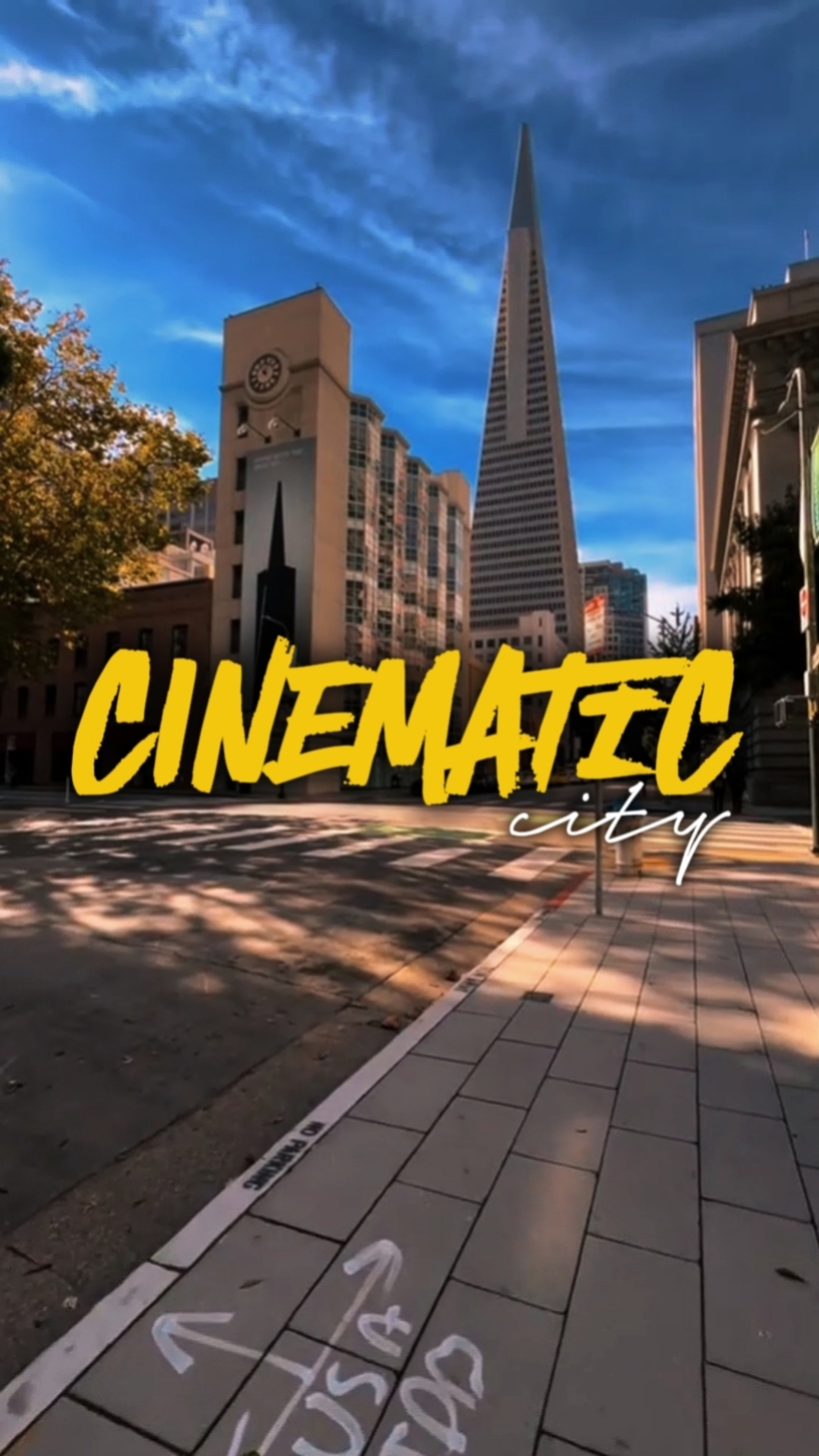 CIUDAD CINEMÁTICA 